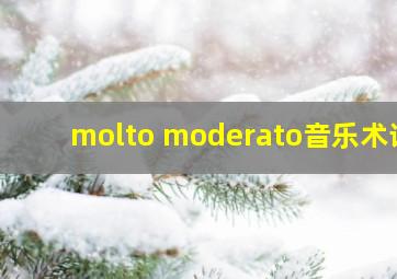 molto moderato音乐术语